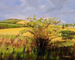 Šípek pod Kobylou 50x60